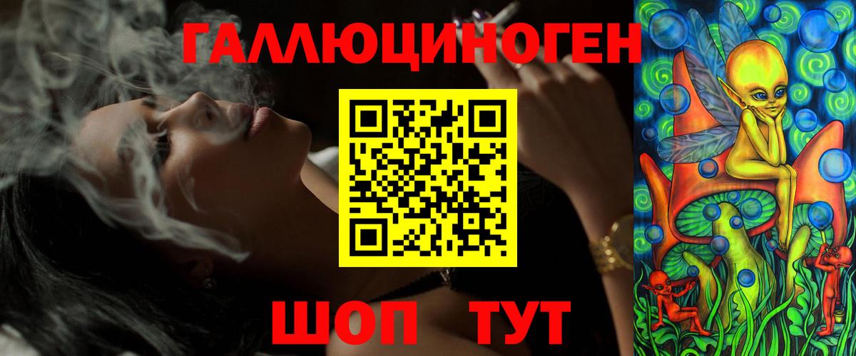Псилоцибиновые грибы Psilocybine cubensis Кизляр