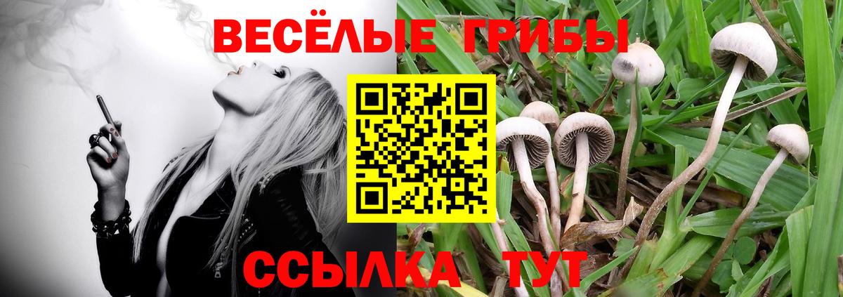 Псилоцибиновые грибы мухоморы  Вход с VPN  Галлюциногенные грибы Psilocybe  Кизляр 